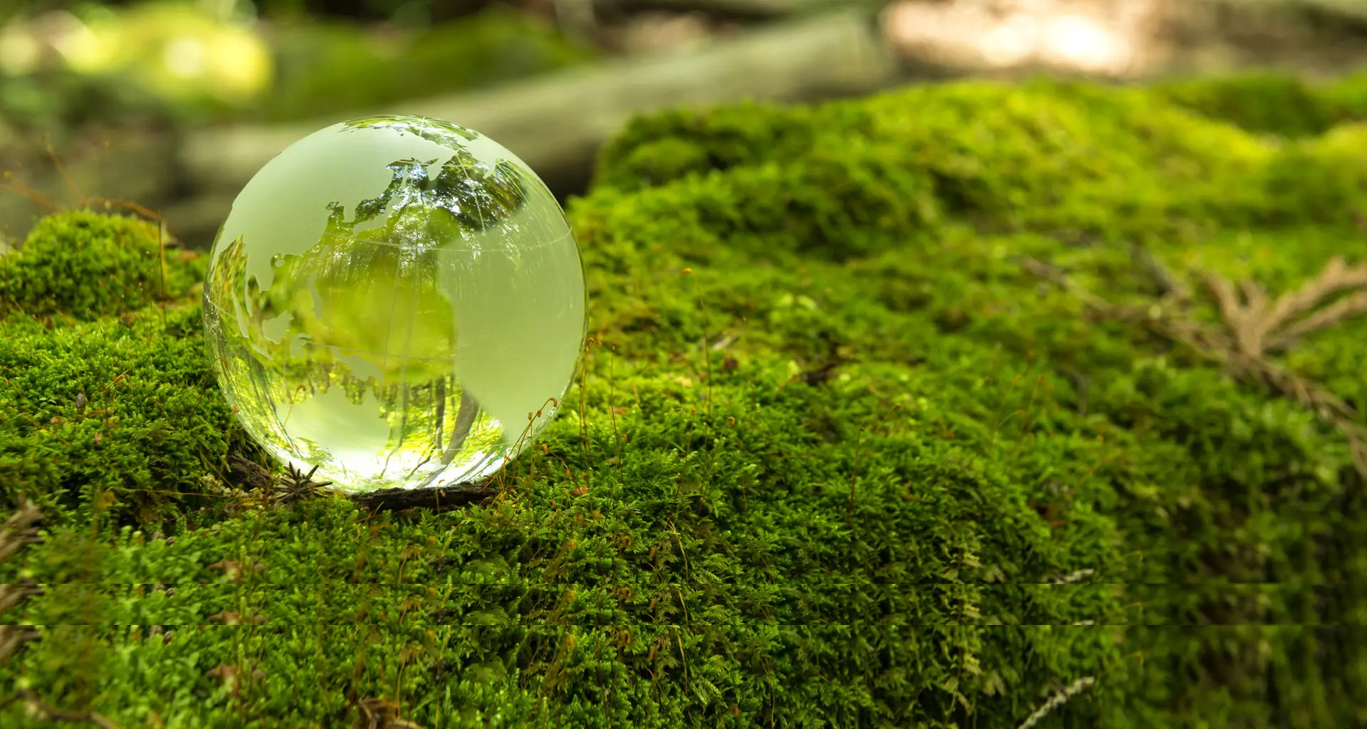 image-ecogen-1