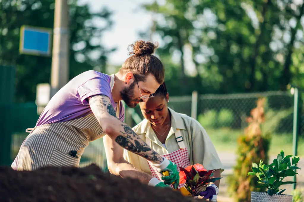 Multiracial couple transplanting flowers