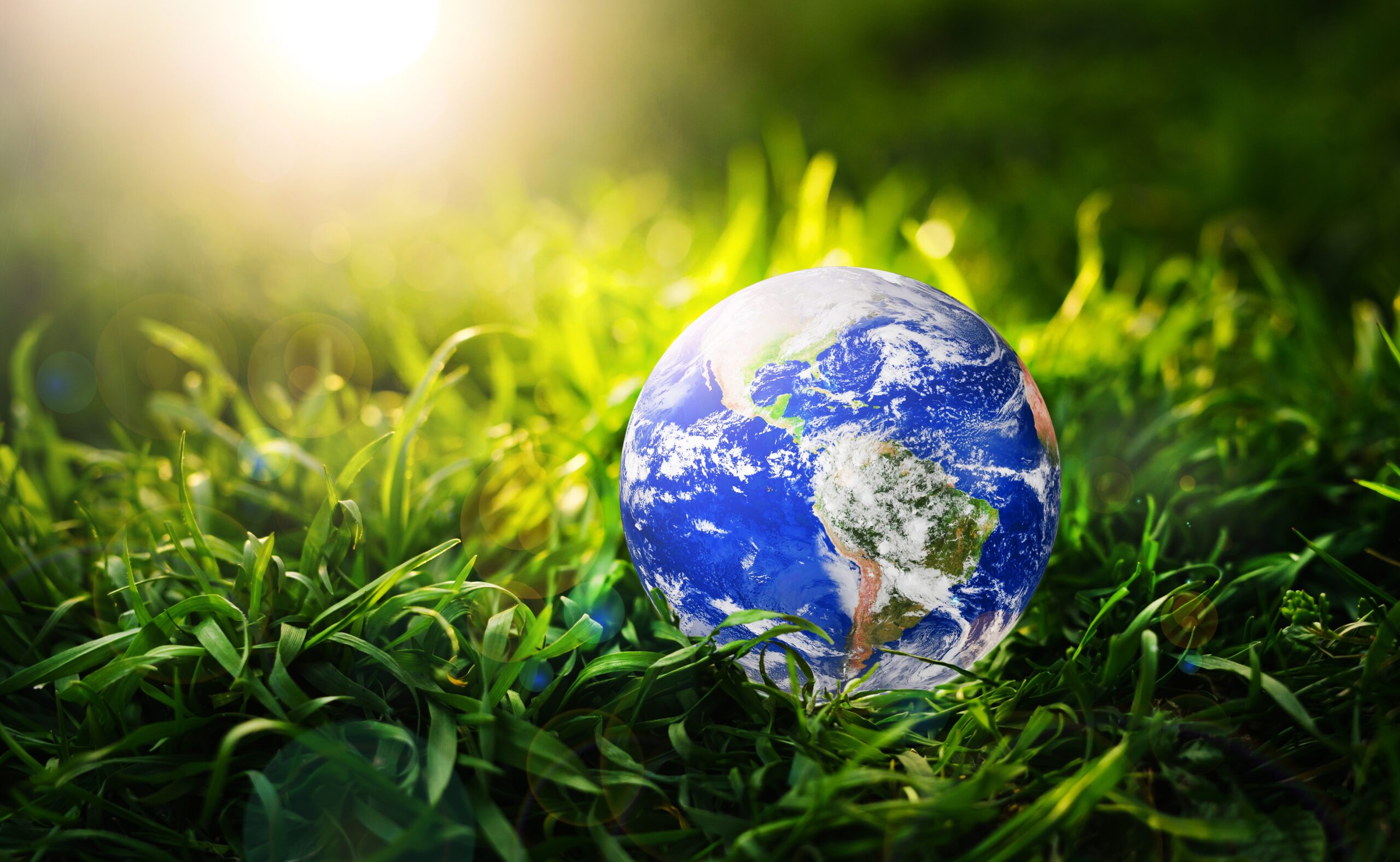 earth-orb-on-green-grass